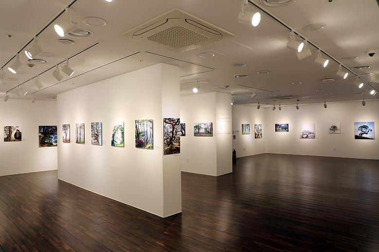 5월 금오공대갤러리 남경환 작가 초대전